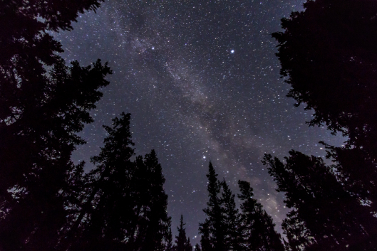 Summer Triangle Thru Trees