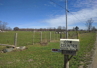 Cow country watch your step. Mailbox humor.