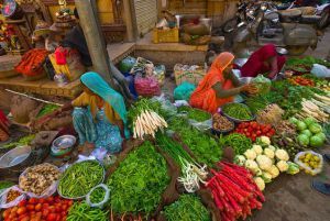 jaisalmer veggie mkt