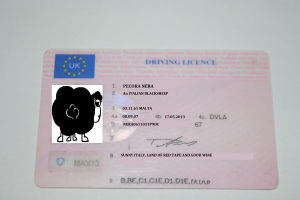 UI Driving License