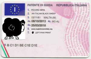 italian-licence