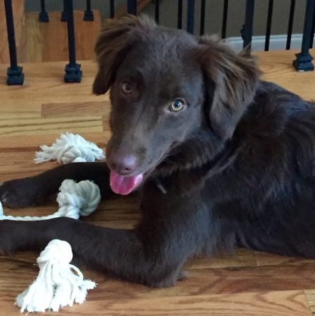 Carol with toy