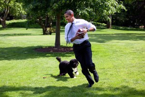 barack-obama-and-his-dog-bo-1174375__340