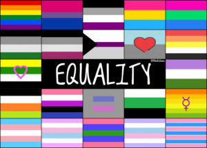 morris area gsa