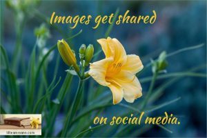 image-share