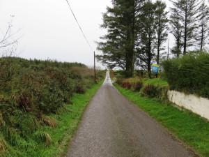 The lane to the cottage--and the For Sale sign that's no longer there