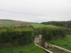 The view from the front--and a landscape that is so very Irish