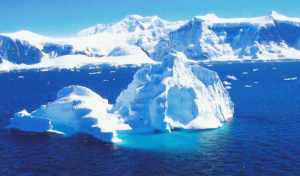 antarctica-photo-Cindy Knoke