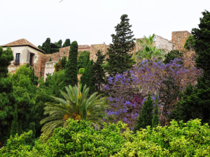 pictures-photographer-Cindy Knoke