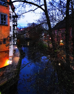 photographer-writer-blogger-cindy knoke