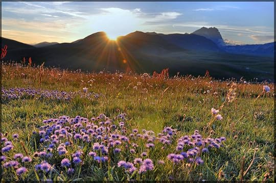 3635592950_bd7def414d_z