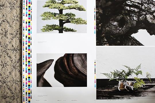 Proof showing pages from the book, overnighted from Hong Kong.