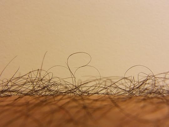 Hair art