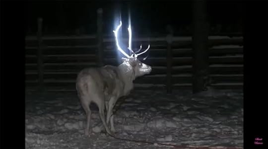 reindeer antlers