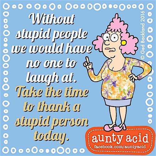 12376310_1012487635526866_3043276013393374590_n