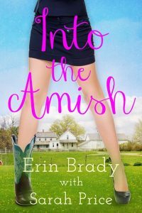 into the amish erin brady