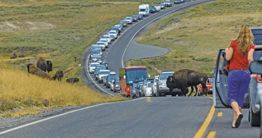 istockphoto-getty-images