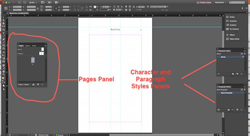 INDD Workspace with panels and page