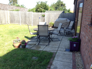 My garden
