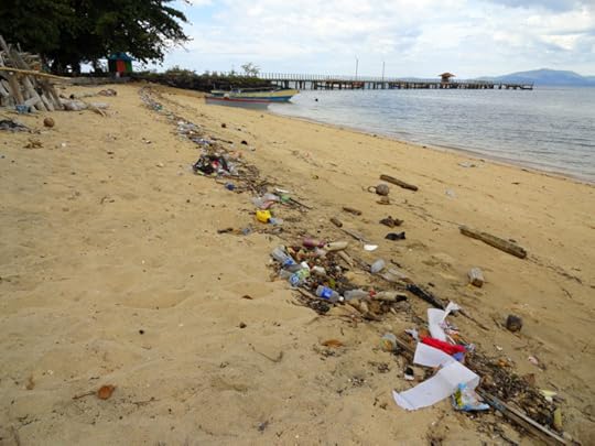 Plastic and trash on the beach by Fabio Achilli. CC0 BY 2.0 via Flickr.