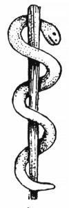 caduceus staff of Asclepius 2