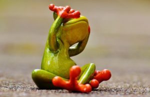 frog-1274766_640