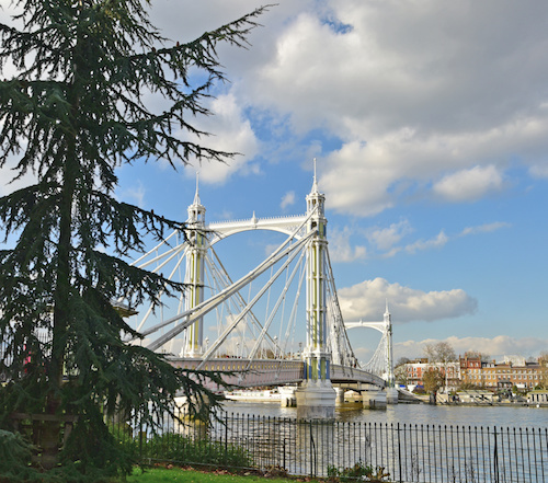 tree and bridge.jpeg