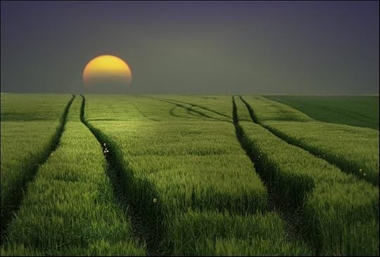 moonlight row vision
