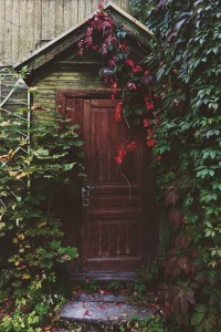 old door