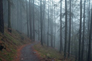 dark path