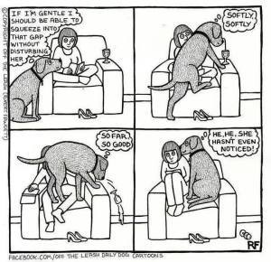 lap-dog-funny