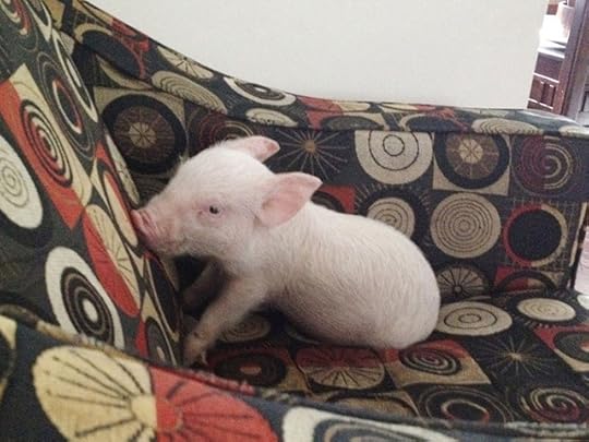  photo estherbaby_zpslm1qmnmo.jpg