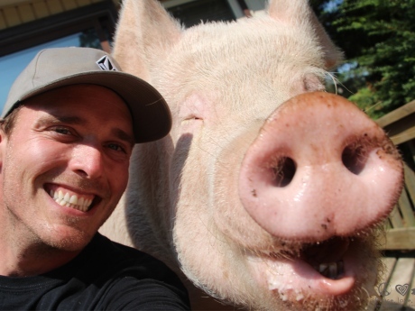  photo esther-the-wonder-pig_zpsgie4mb6y.jpg