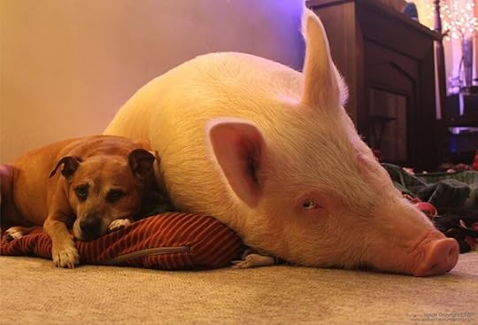  photo estherampbestie_zpssfdpwocp.jpg