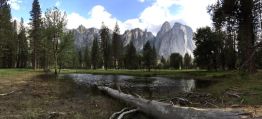 Yosemite Valley floor