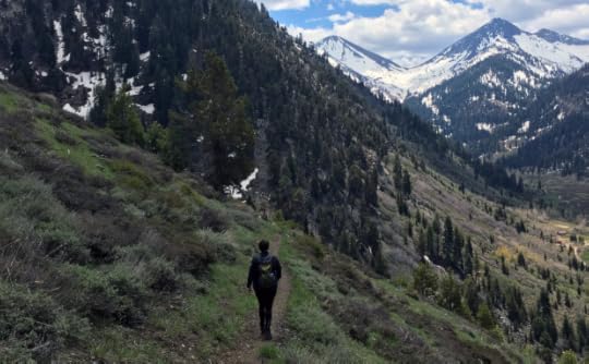 Hiking through Mineral King Valley