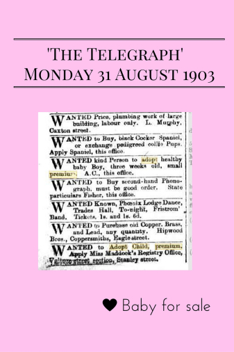 'The Telegraph' Monday 31 August 1903, Brisbane