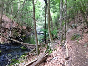 IMG_1828