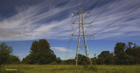 Photo: David Suzuki Foundation input on Ontario's Long-Term Energy Plan