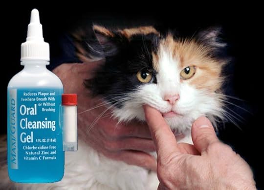 MAXIGuard-oral-cleansing-gel