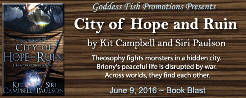 MediaKit_BB_CityOfHopeAndRuin_Banner copy