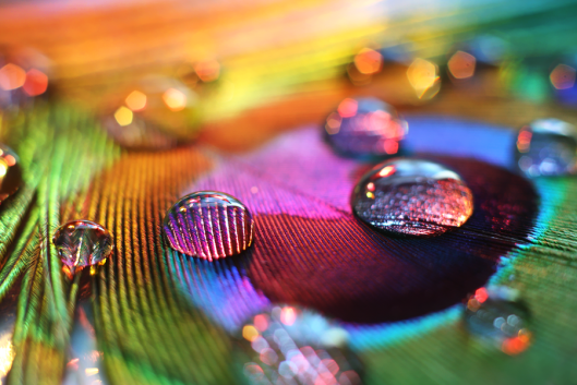 Hues1