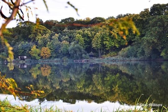 beyond the lake house