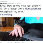 Rayne Hall Tweet
