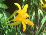 chapel duty June 2016 (16)