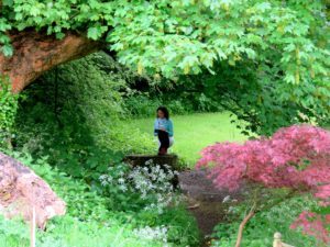Finding beauty