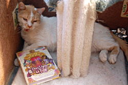 Read Me a Story!