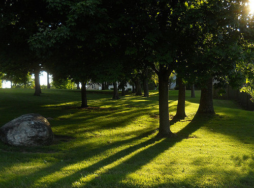 long light of evening