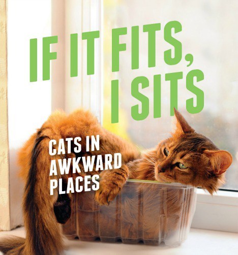 if-it-fits-i-sit
