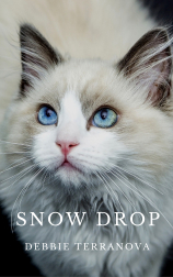 SNOW DROP